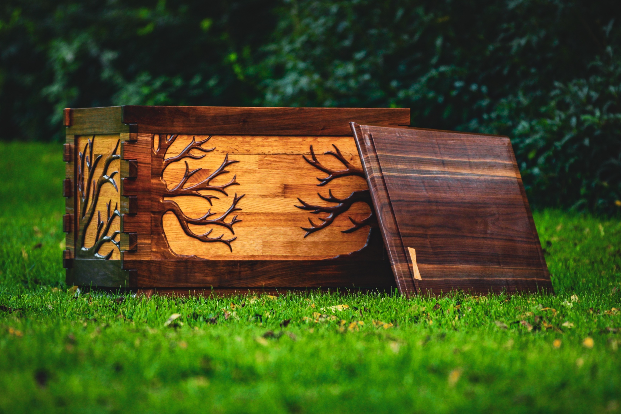 Black Walnut and White Oak toy chest for my newborn son More pictures in the comments.