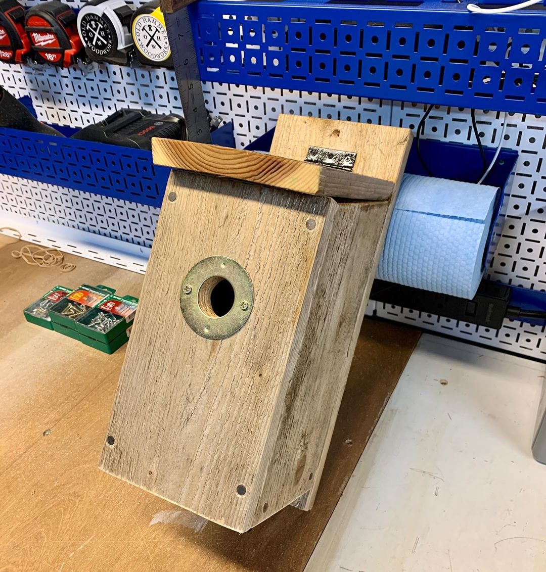 Had some scrap pieces of cedar from a fence install so I made some simple birdhouses repurposed s…