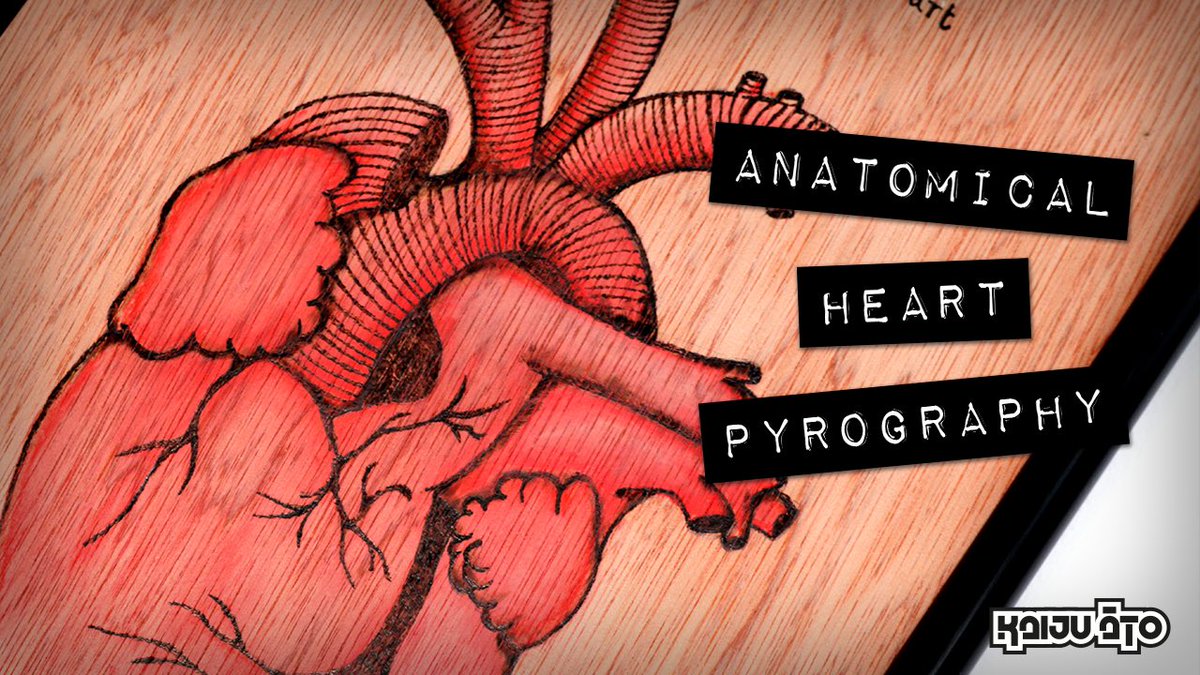 Check out the video where I add colour to a wood burning project here pyrography wood woodworking woodburn woodburning colour color art make heart anotomy anatomicalheart heart artwork red grunge goth alternative tattoo tattoostyle